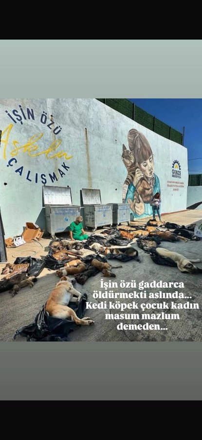 emresamur's tweet photo. İşin özü Allah belanızı versin, sevdiklerinize hasret bıraksın sizi!