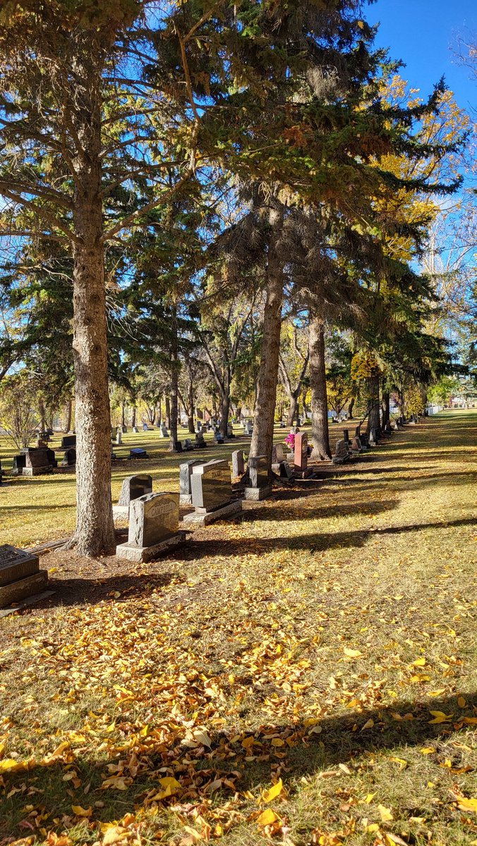 Studio Von YEG tweet media