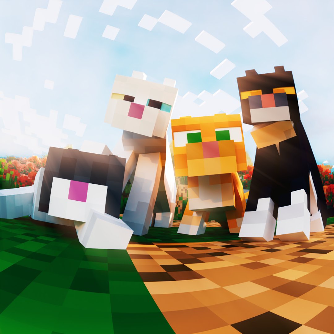 fyoncle's tweet image. Cute cats!!!