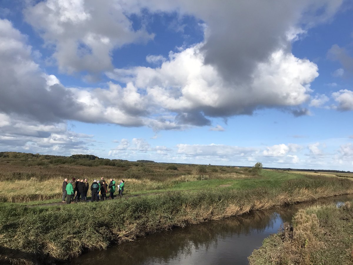 Chris Quine tweet media