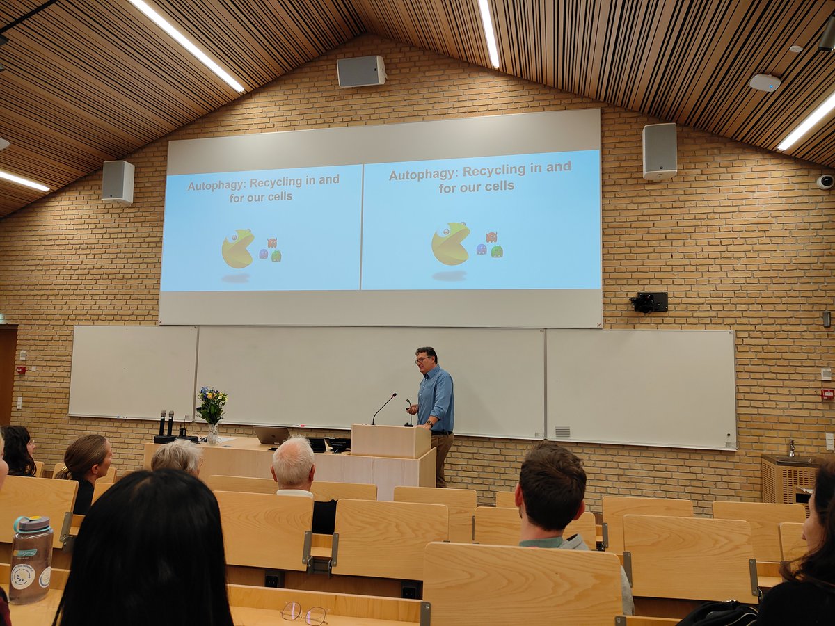 AUTOPHAGY-AARHUS (Reggiori & Mari Research Labs) (@autophagyaarhus) on Twitter photo Inaugural lecture of Fulvio as Professor at the Department of Biomedicine <a href="/AarhusUni_int/">Aarhus University</a>. He reflected on the key milestones of his career, provided an insight into the diverse research topics initiated in his lab, and outlined the exciting new directions the team will explore! Inaugural lecture of Fulvio as Professor at the Department of Biomedicine <a href="/AarhusUni_int/">Aarhus University</a>. He reflected on the key milestones of his career, provided an insight into the diverse research topics initiated in his lab, and outlined the exciting new directions the team will explore!