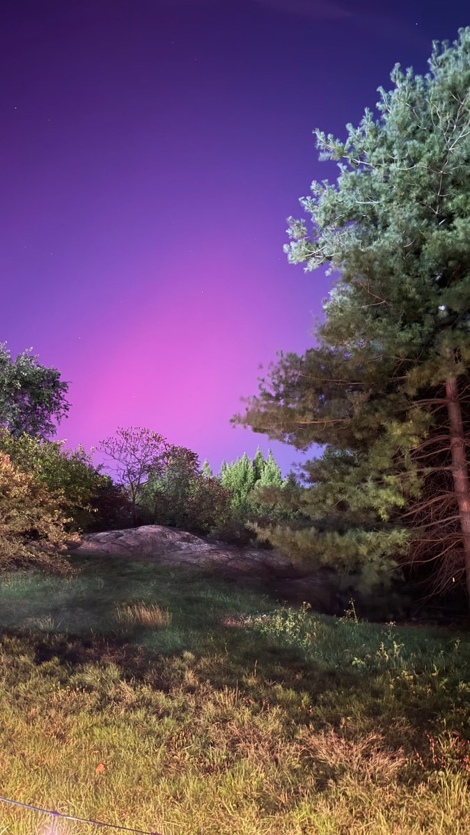 I can’t believe I saw the aurora borealis in the Bronx