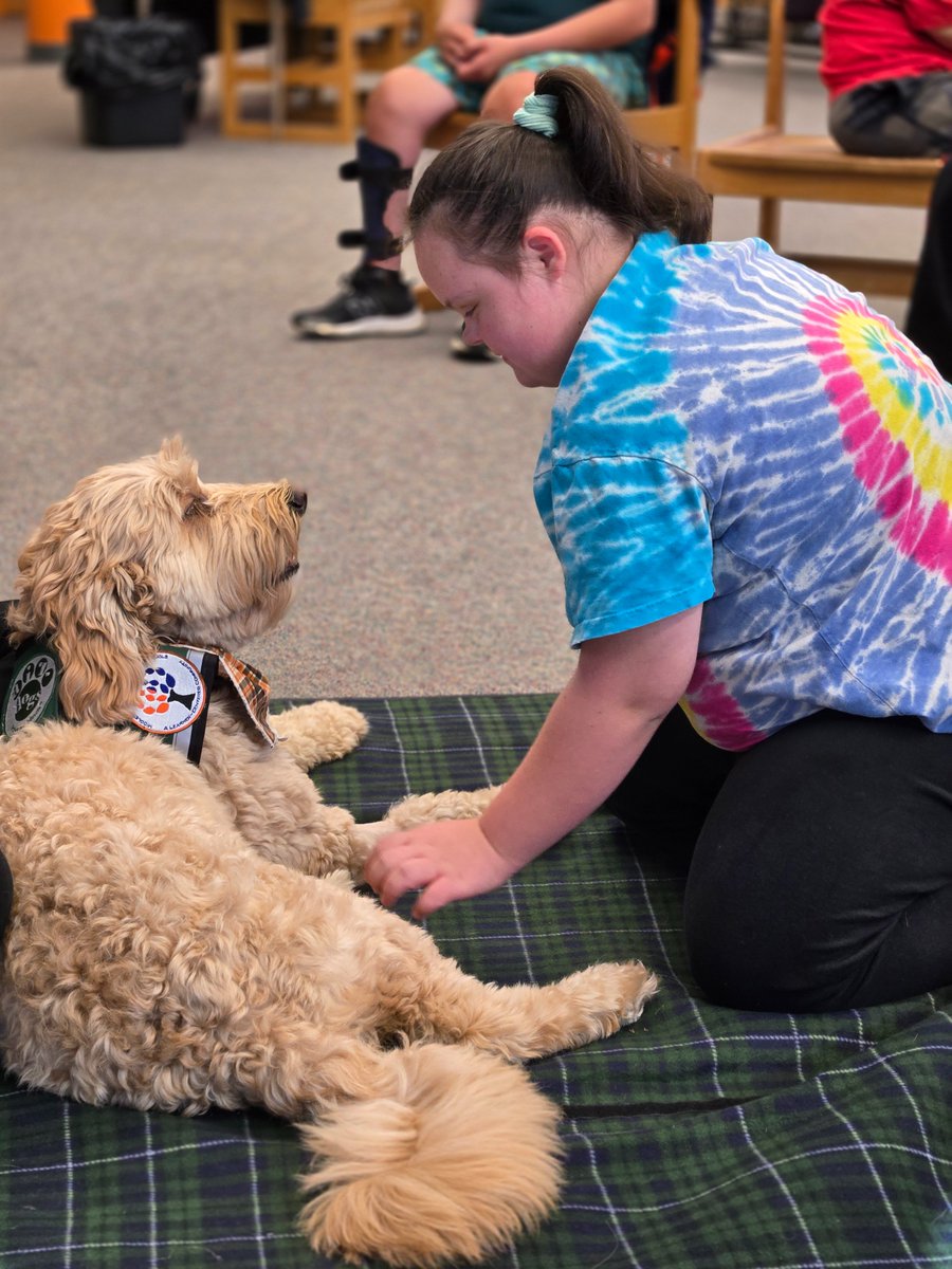 Kristyn Corace tweet media