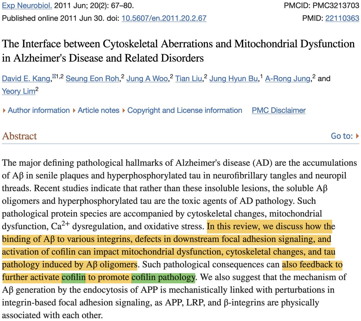 Joe Springer tweet media