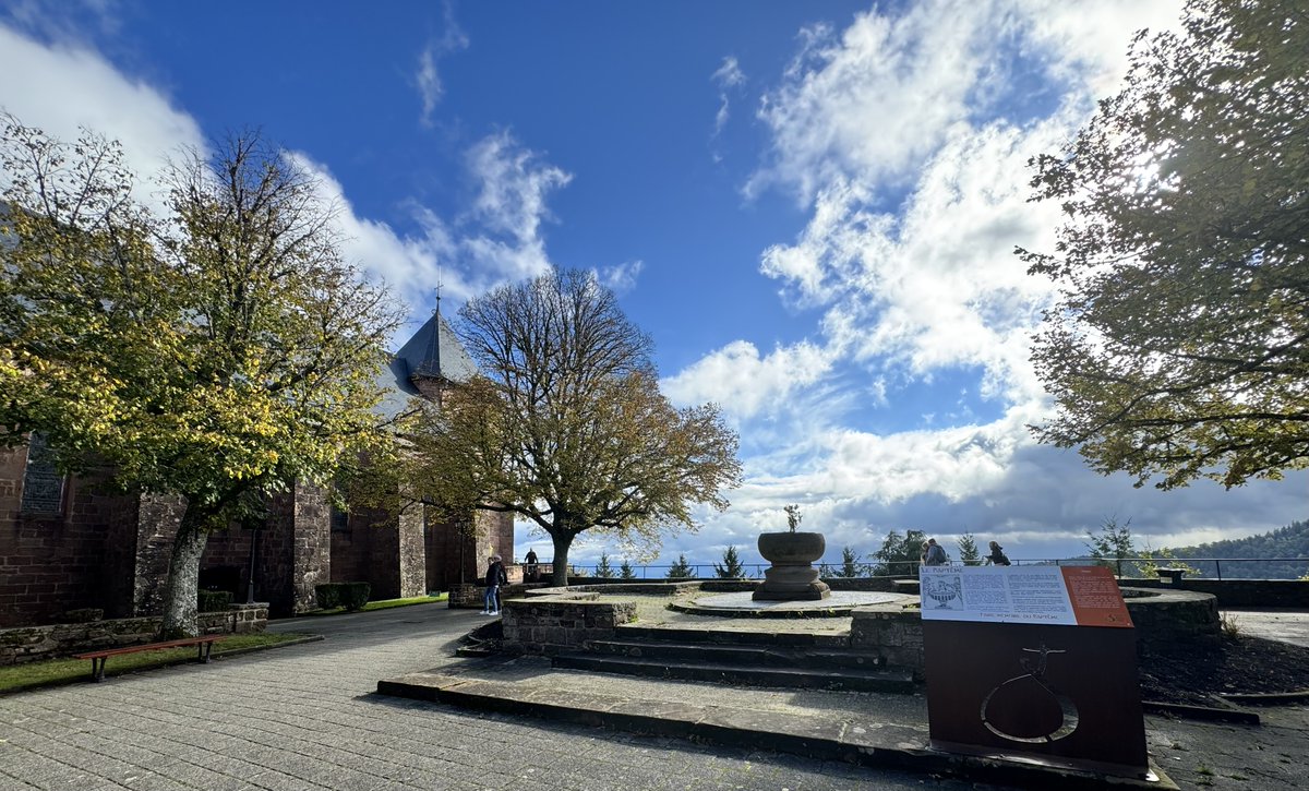 Ivan Đikić tweet media