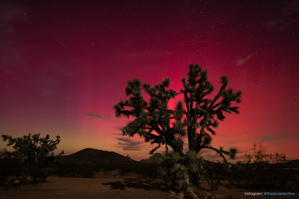 UNBELIEVABLE! 😍 The Northern Lights put on quite a show over Arizona overnight. Thank you to all of the viewers who have sent in photos! Check out our gallery of viewer photos here: tinyurl.com/yt8bedcj