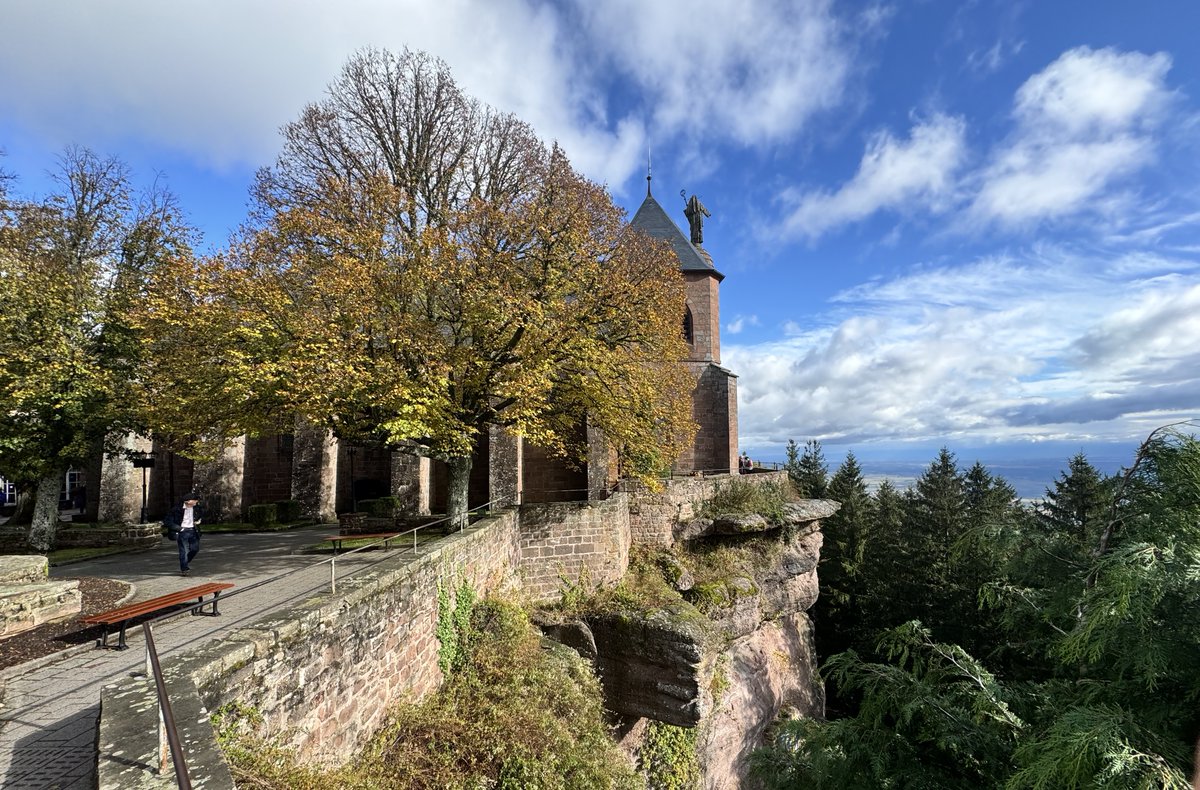 Ivan Đikić tweet media