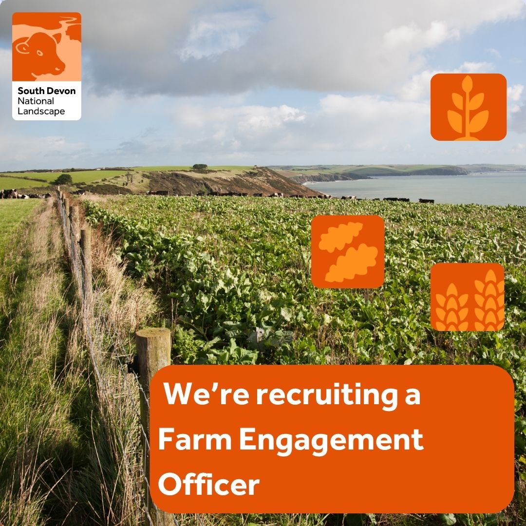 Fantastic opportunity for  a Farm Engagement Officer -  If you are enthusiastic about supporting farmers to secure a positive future for their businesses and the South Devon National Landscape , then this could be the job for you #farming #agrijobs #Devon southdevon-nl.org.uk/jobs-and-oppor…