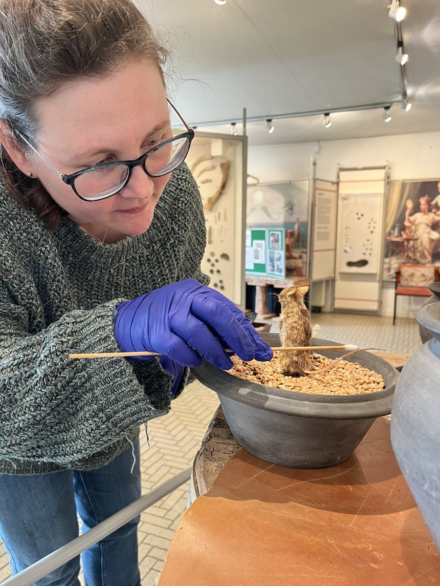 Conservation in action 🐁
 #Conservation #museum