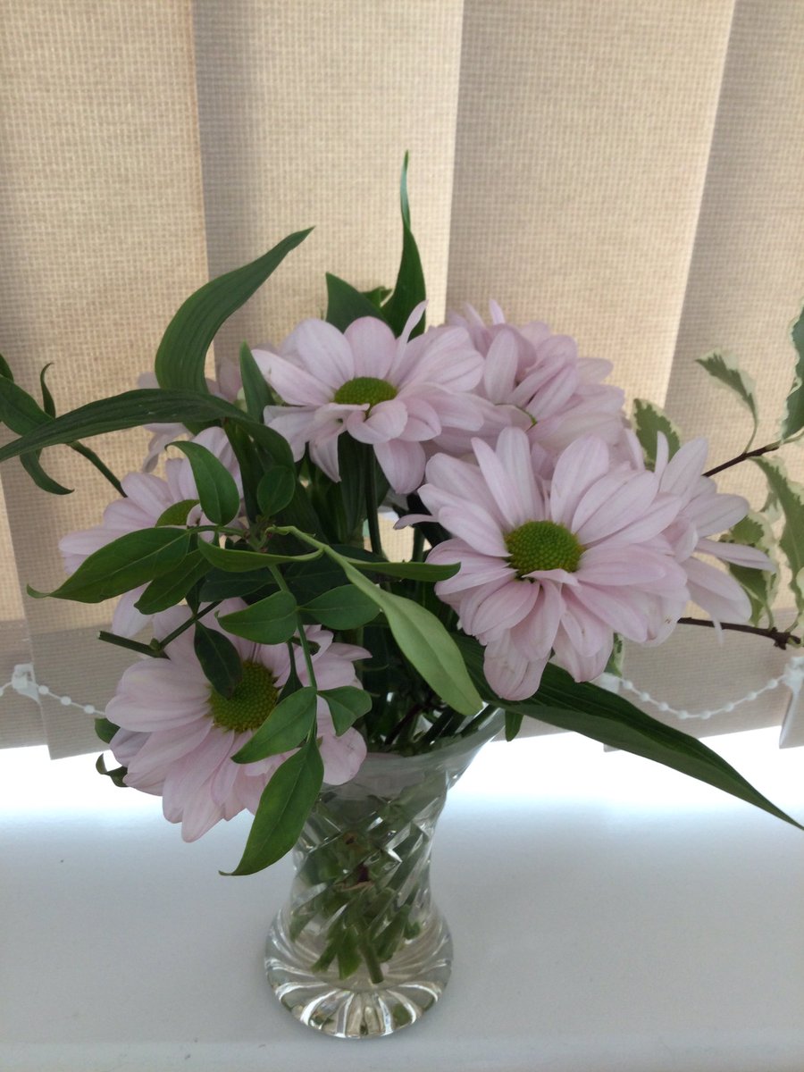 Today patients enjoyed flower arranging as their group activity. They arrangements are really beautiful and have brought colour and fragrance into the hospital !@SomersetFT @normacoombes #BeautifulNature