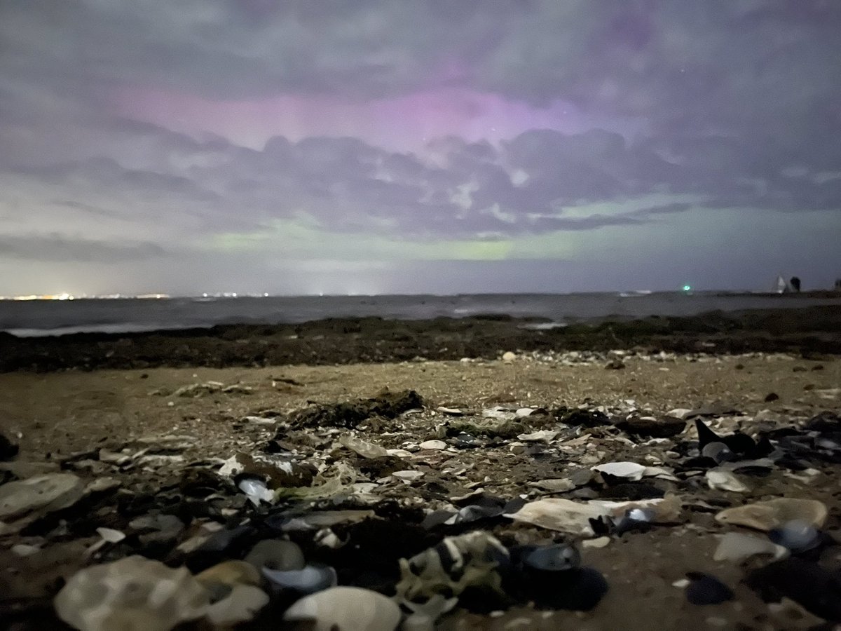 Dom 🌻 tweet media