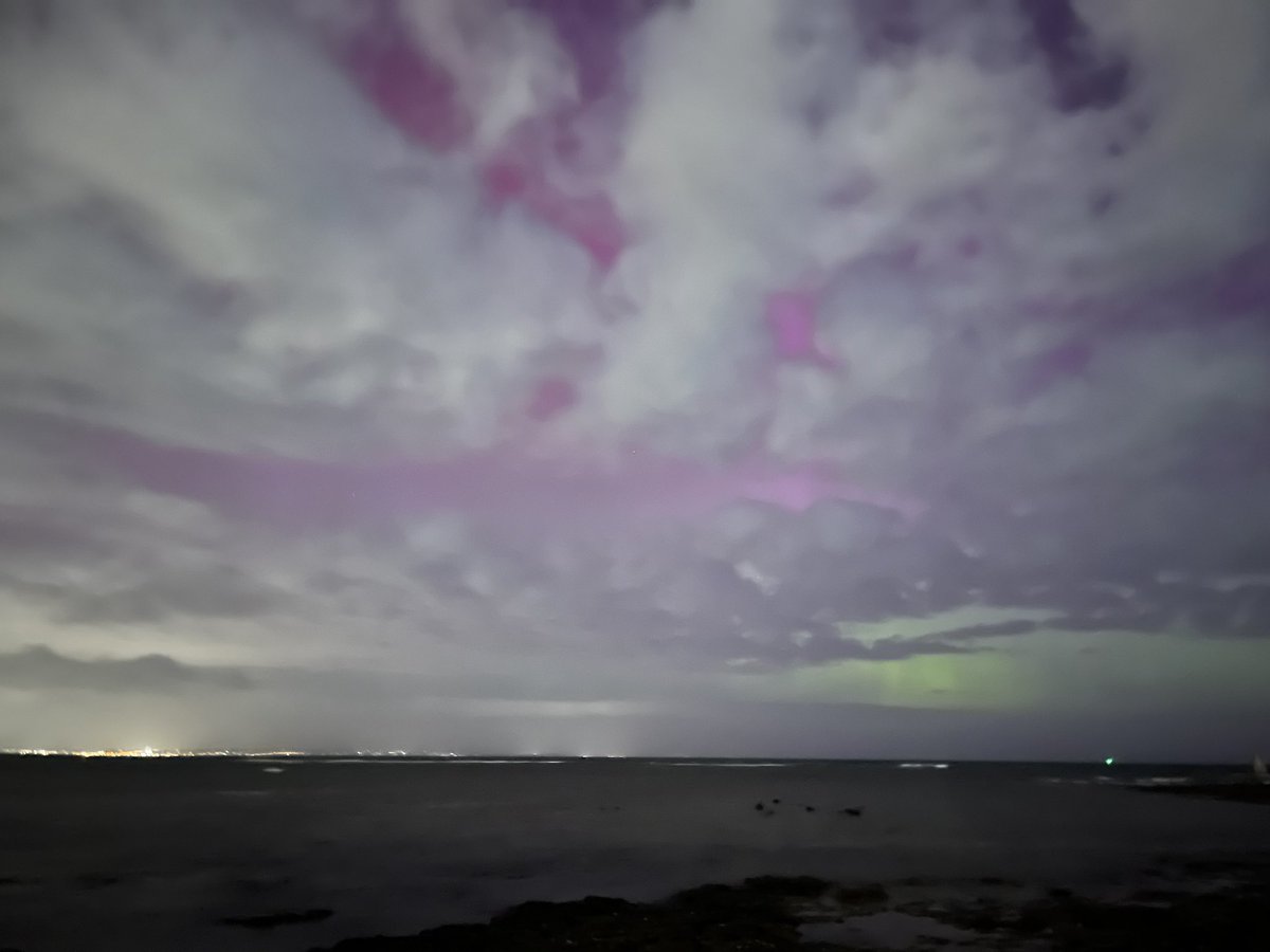 Dom 🌻 tweet media