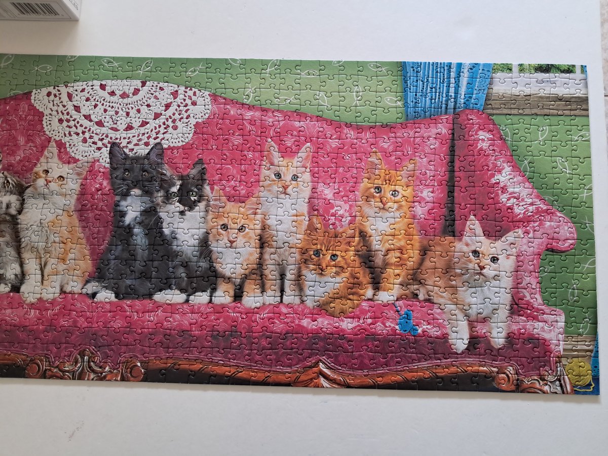 Ifigenia1986's tweet photo. The latest addition to my cat puzzle collection 🥹❤️

#Cats #Kittens #Eurographics #Panorama #1000pieces https://t.co/arkWB1yDLJ