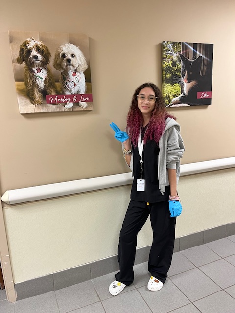 Becton Career Exploration Internship Program tweet media