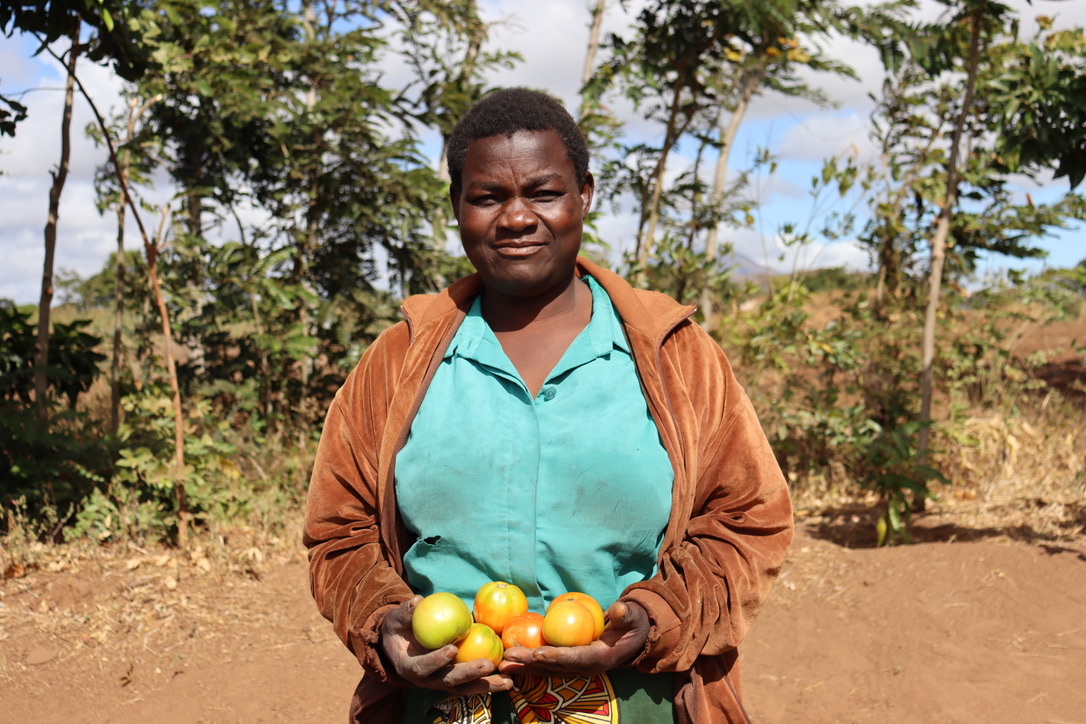 🌪️ After Tropical Cyclone Freddy devastated her crops, Roseby Mukawa took charge of her recovery. With support from <a href="/CDFCanada/">The Co-operative Development Foundation of Canada</a>, she received seeds, fertilizers &amp; crop cuttings.🌱💪Read how Roseby turned her situation around: cdfcanada.coop/overcoming-cyc… <a href="/CanadaDev/">Development Canada</a> <a href="/MCIC_CA/">MCIC</a> <a href="/accosca/">ACCOSCA</a>