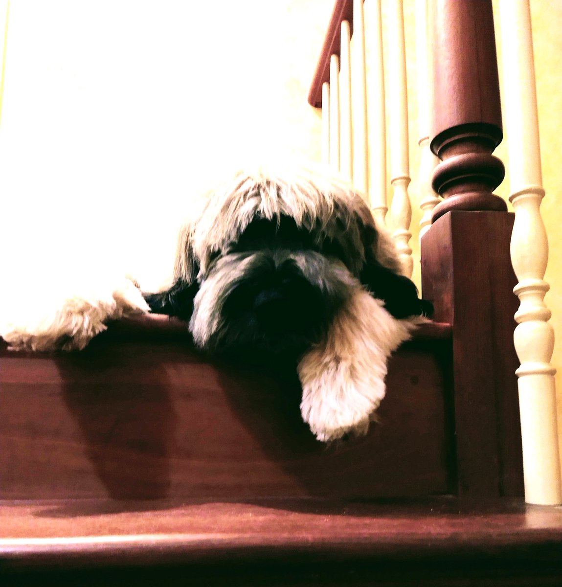 Theo-sophy tweet media