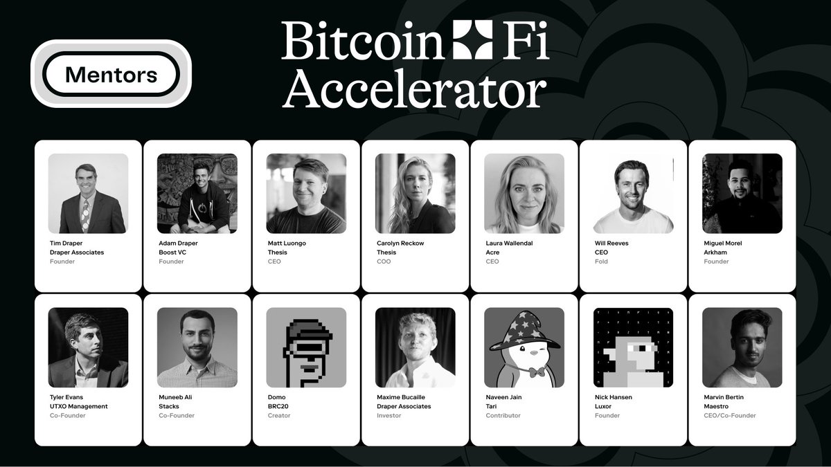 Join the BitcoinFi Accelerator and learn from Maestro 💪

The upcoming accelerator is led by some of the leading VCs in Crypto, who will also be mentoring teams:

Tim Draper: Founder of Draper Associates, emphasizing Bitcoin’s transformative potential as a global currency and