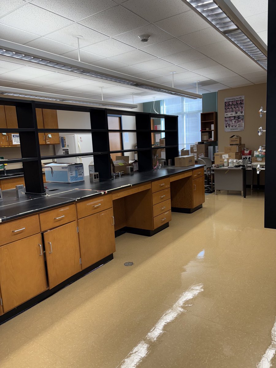 Amy Poe, PhD tweet media