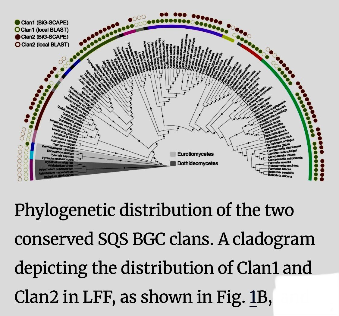 Garima Singh tweet media