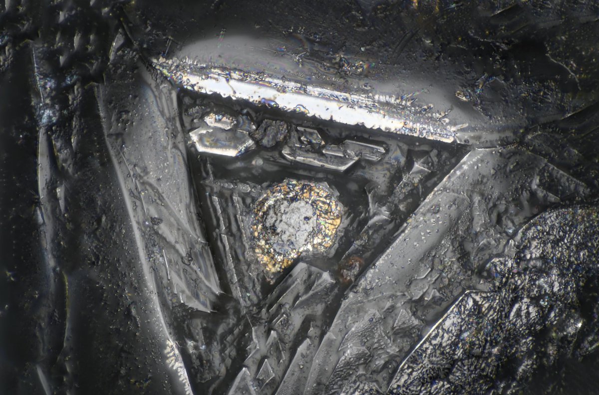 Two sides of the same mm. I was imaging the interring triangle shape with the little bead and then I rolled it over to see the other side and there was another fricken triangle on that side. So very interesting and I’m not sure what side I should have upward for SEM.