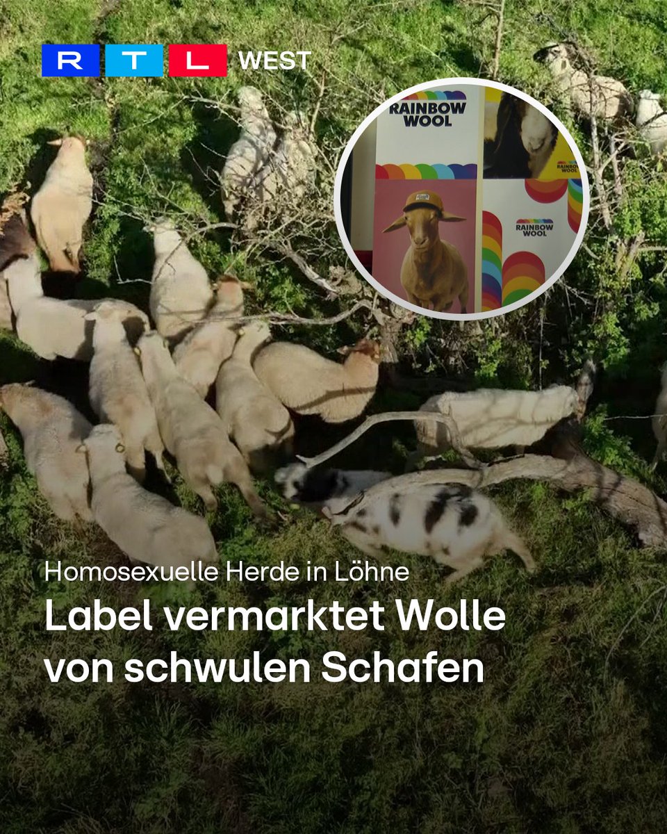 RTL WEST tweet media