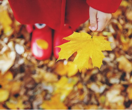 Stb_Bielefeld's tweet image. In den Herbstferien gibt es in der Zentralbibliothek und in einigen Stadtteilbibliotheken ein #Ferienprogramm. Die genauen Informationen findet Ihr in unserem Online-Kalender und hier im Flyer:
stadtbibliothek-bielefeld.de/OPEN/Portals/0…