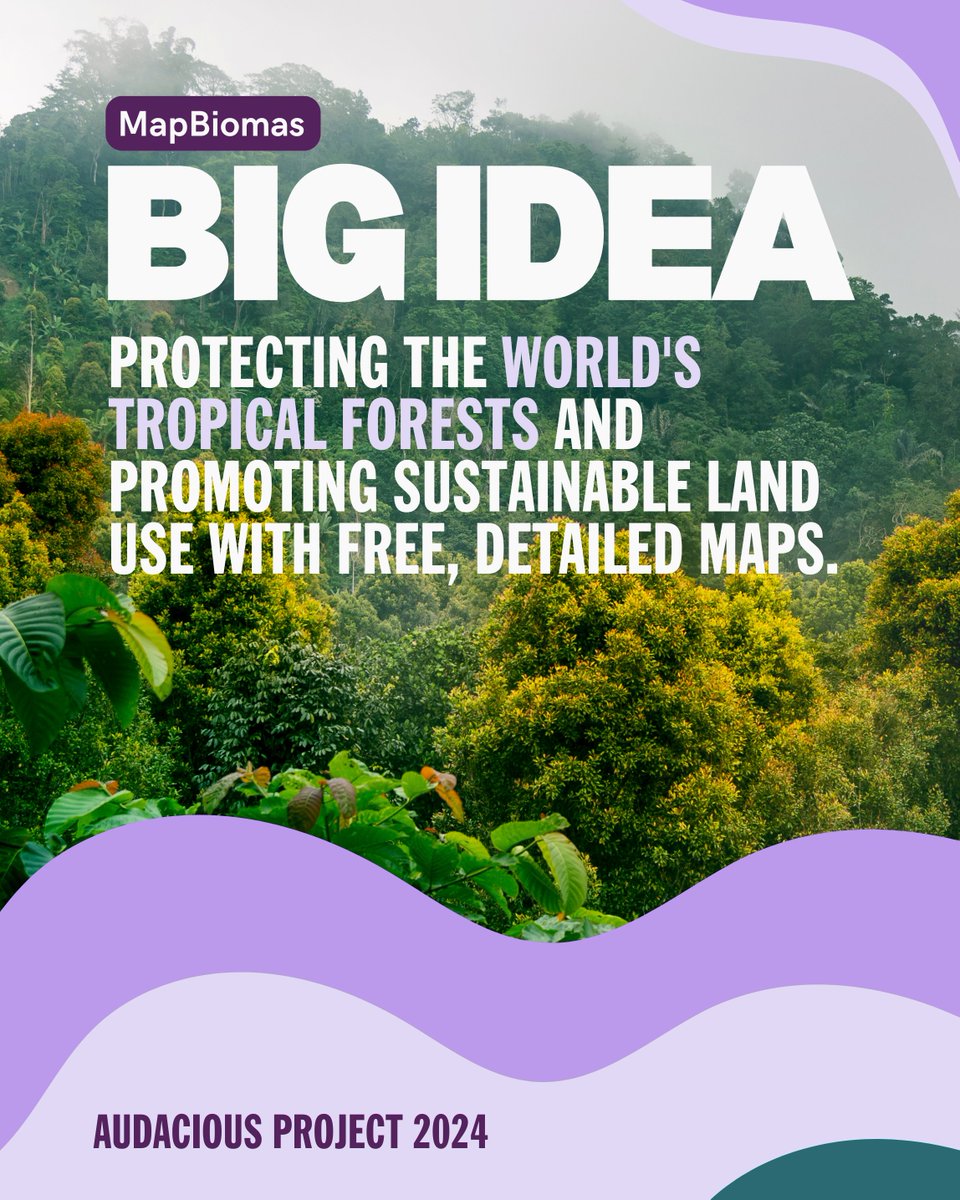 The Audacious Project tweet media