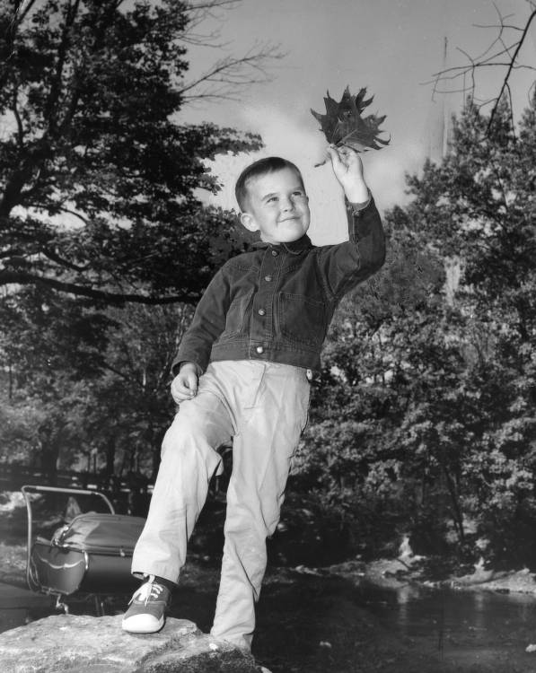 Follow Us on Blue Sky -- Temple Libraries tweet media