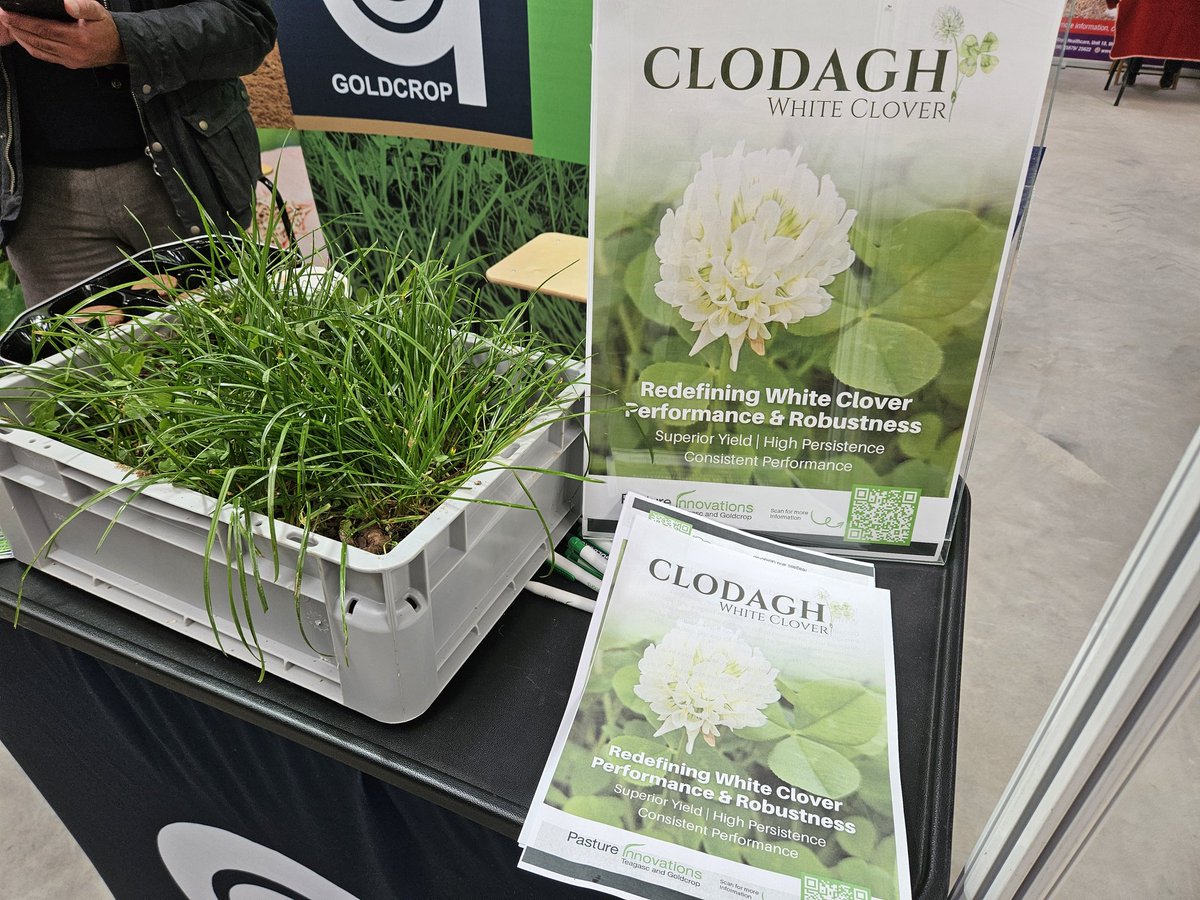 All ready to go <a href="/Nat_DairyShow/">National Dairy Show</a> in Milstreet for the next 2 days <a href="/Goldcrop/">Goldcrop</a>
Discussing all things seed including the new Fearga Red Clover and Clodagh white clover 
@ pastureinnovations.ie