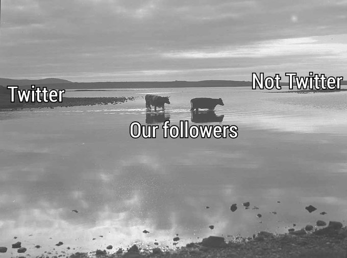 As our Instagram and Facebook following grows, our Twitter seems to slowly fall, bit by bit. Soon we'll be sitting here, on an island, on our own, talking to some cows, about how it used to be. 
So we tweet on, cows against the current, borne back ceaselessly into the past.