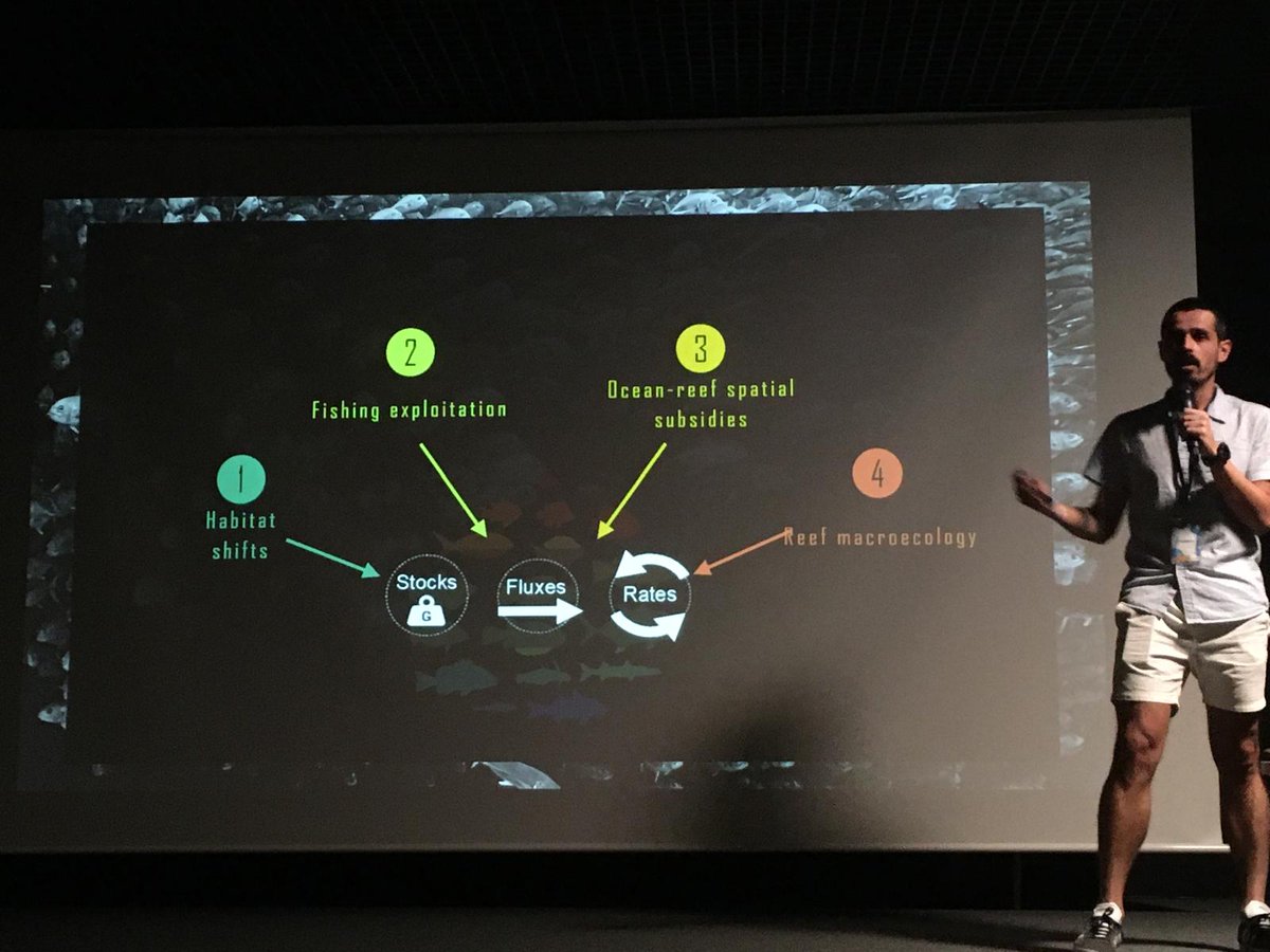 🌟We had the pleasure of hosting <a href="/RenatoAMorais/">Renato Morais</a>  at the <a href="/ICMCSIC/">ICM-CSIC</a> Friday Talk today! 
🌊His research on The dynamics of biomass production in marine oases opened our eyes to new perspectives on marine productivity. 
What a fantastic talk!👏✨

<a href="/psl_univ/">Université PSL</a>