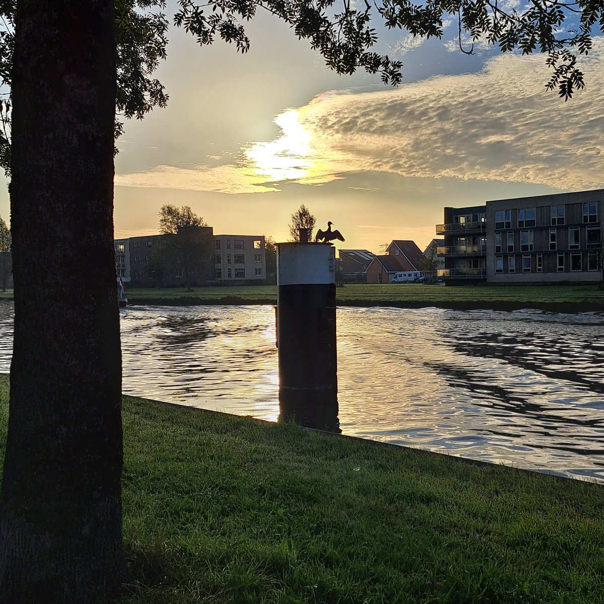 YvonneGrevelink's tweet image. #fot_o_ktober
@jolandabrwr 
Deze #palen stonden tot afgelopen voorjaar bij ons in het van Harinxmakanaal, maar zijn weggehaald.
Er zaten geregeld vogels op!