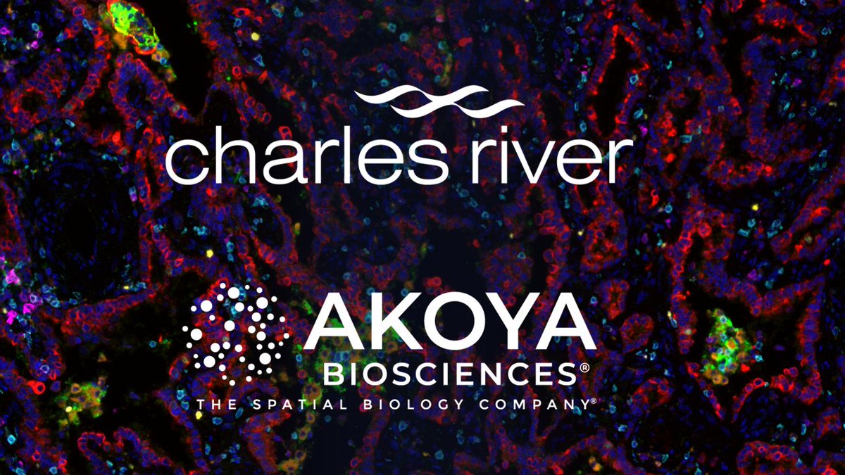 Exciting News! 🎉 We welcome Charles River, France as an Akoya-qualified service provider! Located in Evreux near Paris, Charles River provides Safety Assessment Services for preclinical and clinical sample analyses.
With Akoya’s PhenoImager® HT, digital pathology capabilities
