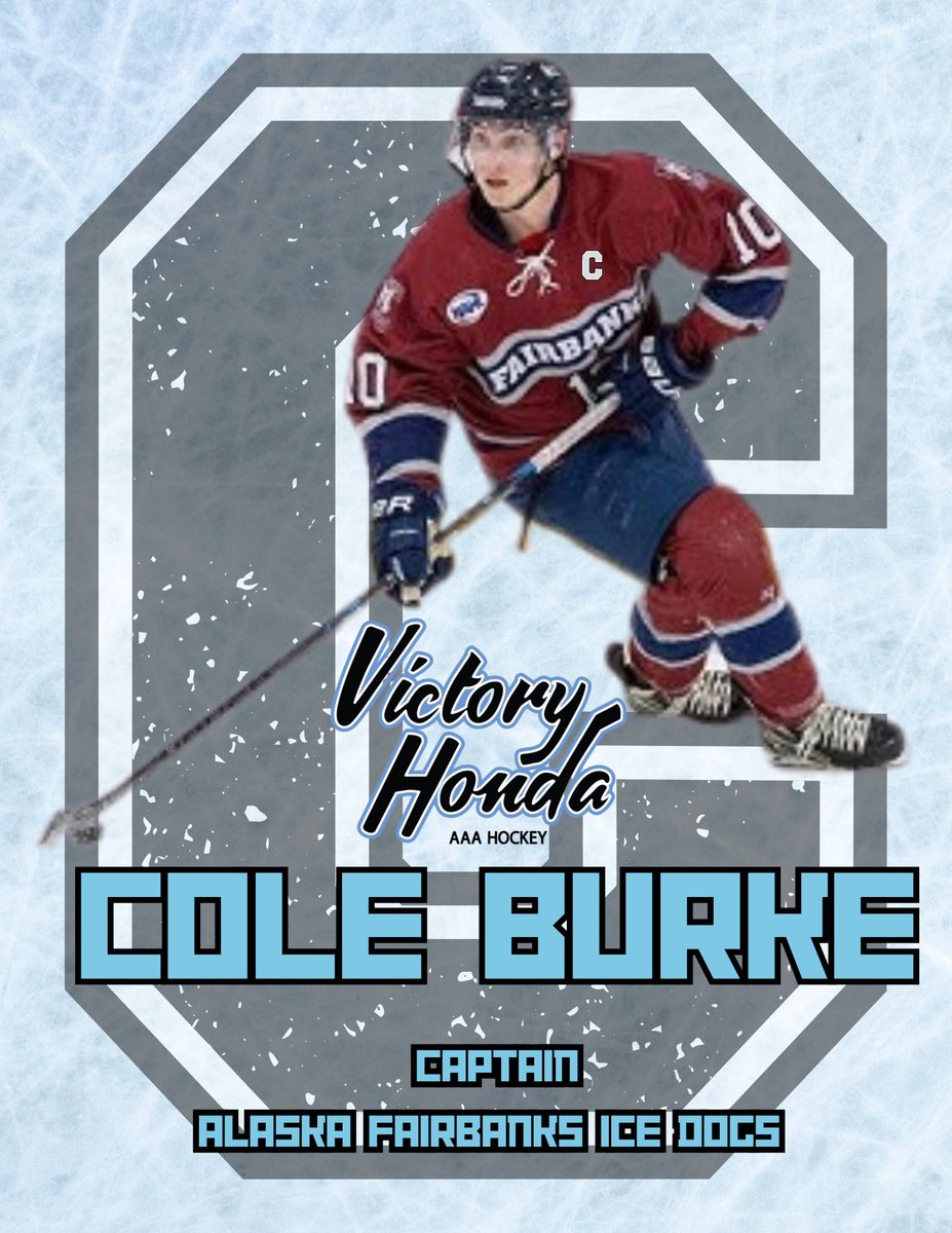 Victory Honda AAA Hockey Organization tweet media