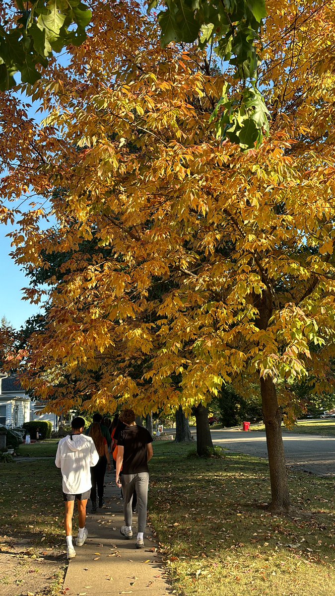 Listening to <a href="/ChemForYourLife/">Chemistry For Your Life 🧪</a> on a podcast walk while we see the subject of the episode in action. “Why do trees chance color in the fall?”

chemforyourlife.transistor.fm/episodes/asdf-…

Go Trojans!