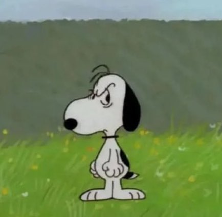 snoopy ୨ৎ (@martinsnoops) on Twitter photo 