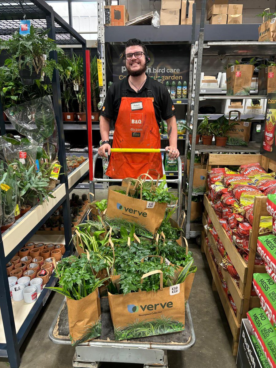 Many thanks to <a href="/BandQ/">B&Q</a> Gallows Corner for your very kind donation of house plants. These have all gone into classrooms, we are very thankful!