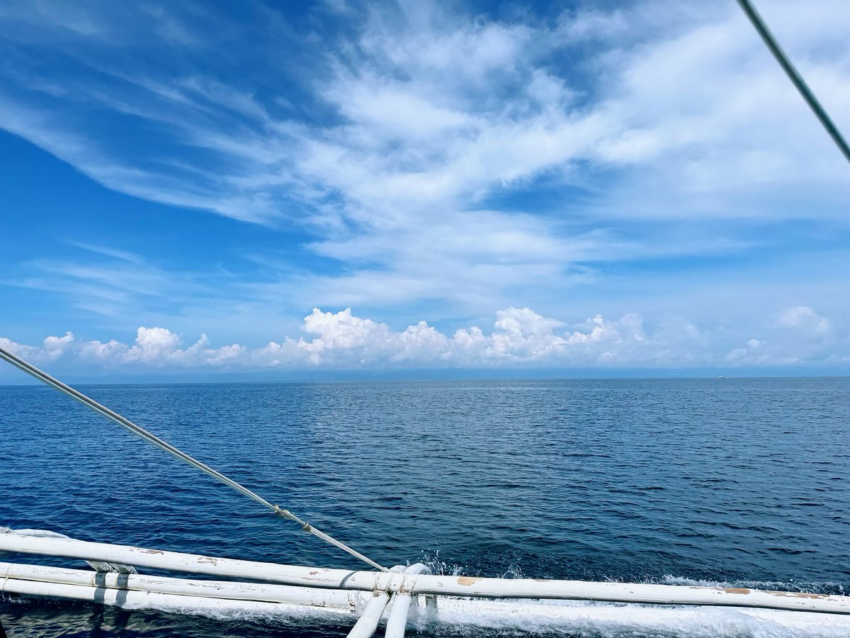 Molip｜🧙🏻‍♀️🟧🍶🍜🍑（🏝,🏝） tweet media