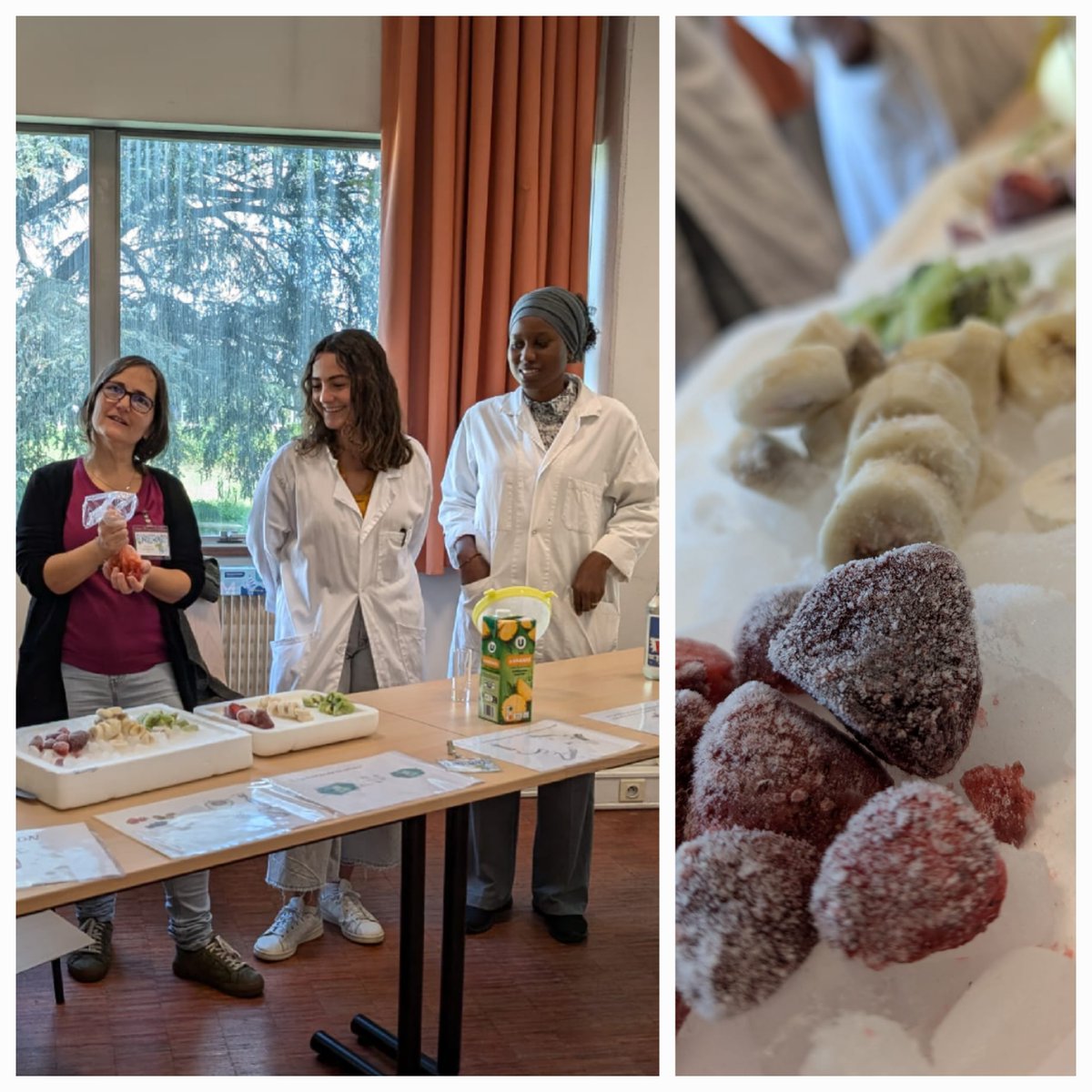 INRAE UMR1332 BFP tweet media