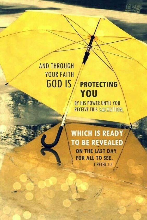 BeachcatTt's tweet photo. Happy Friday. I pray you have a blessed day. https://t.co/IXsTsyE9sc