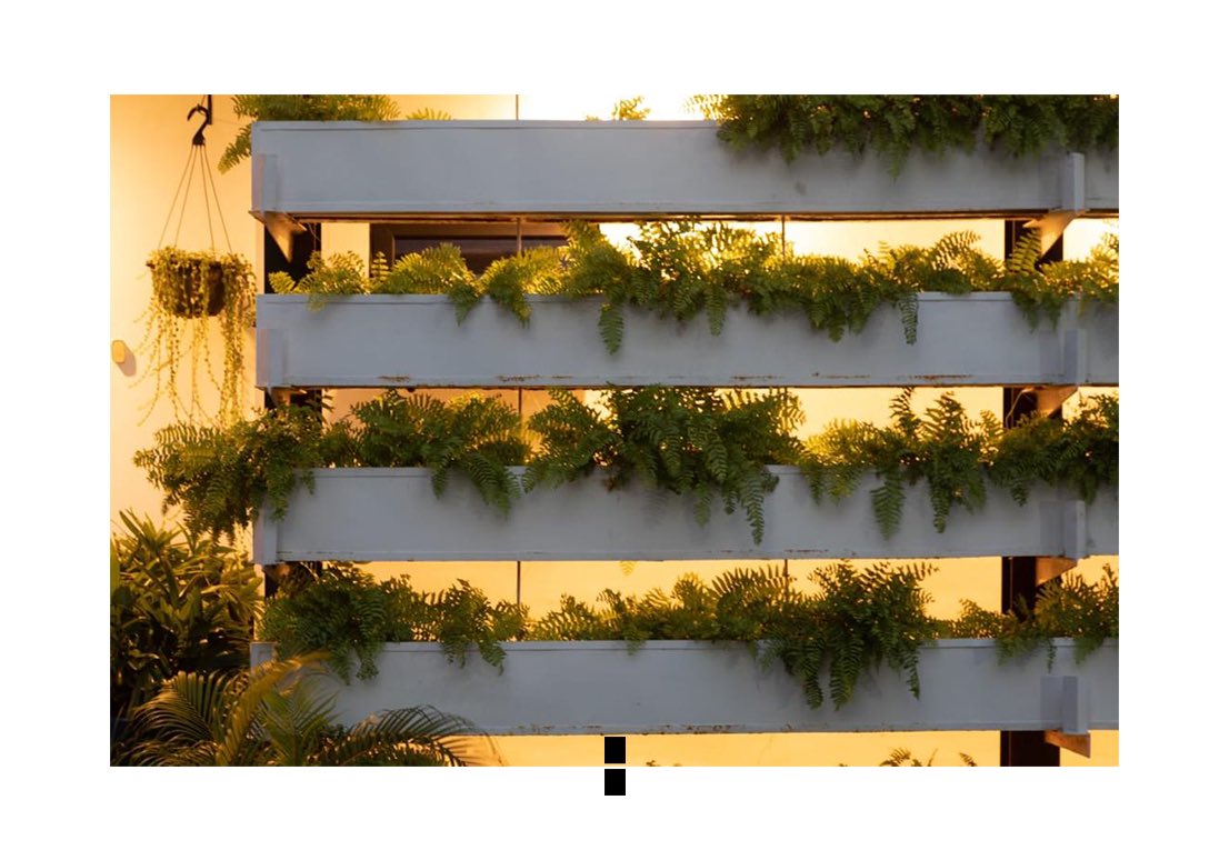 htlafrica's tweet image. When Adaptive Reuse meets the Tropics 
The devil is indeed in the details 🤌🏿
#architecture #adaptive #adaptivereusearchitecture #green #greenbuilding #lagosarchitectsforum #lagosbiennial