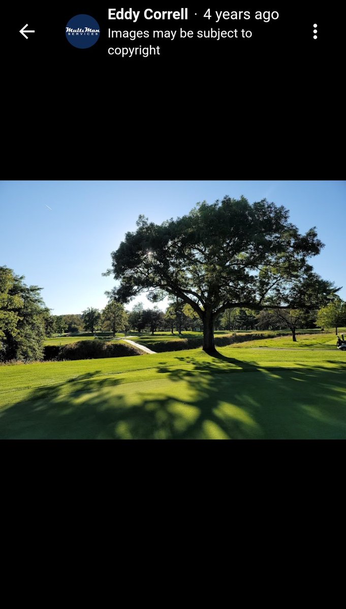 jastalgolf tweet media