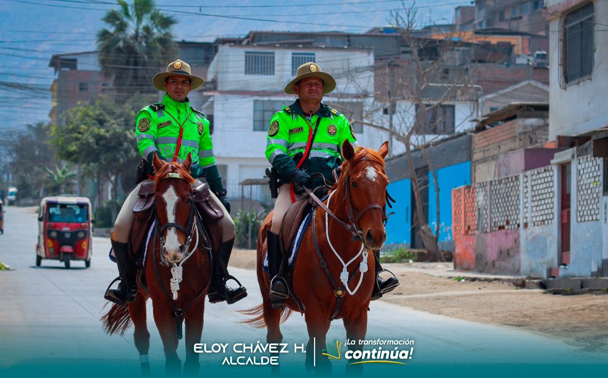 #𝗣𝗼𝗹𝗶𝗰𝗶́𝗮𝗠𝗼𝗻𝘁𝗮𝗱𝗮𝗗𝗲𝗧𝗮𝗰𝗮𝗹𝗮́ | Con el objetivo de reforzar la seguridad en el distrito, hoy se realizó el patrullaje a caballo en la zona de Cercado. Este trabajo se extenderá a las siete zonas de Villa María del Triunfo¡No bajamos la guardia! 💪