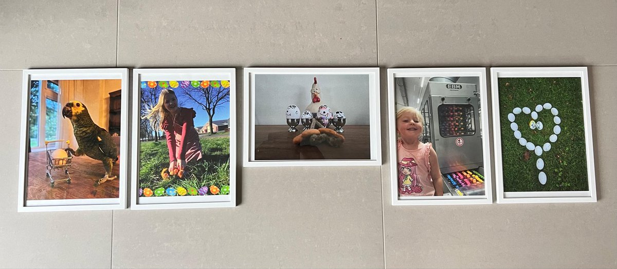 Wereldeidag 2024. Micha (7jr) won de 1e prijs in de fotowedstrijd voor jongeren met een “winkelende papegaai”