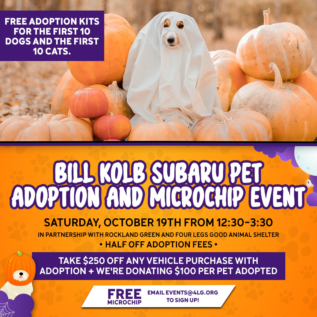Bill Kolb Jr. Subaru (@bkjrsubaru) on Twitter photo 🐾 Adopt a furry friend! Dogs, cats, and more are waiting for you! Get pre-approved:
fourlegsgoodnynj.org/adoption-appli…
🎃 In addition to furry friends, join us in some seasonal fun with Pumpkin Decorating!
FREE microchipping for all dogs and cats!
Email events@4lg.org to sign up. 🐶🐱 🐾 Adopt a furry friend! Dogs, cats, and more are waiting for you! Get pre-approved:
fourlegsgoodnynj.org/adoption-appli…
🎃 In addition to furry friends, join us in some seasonal fun with Pumpkin Decorating!
FREE microchipping for all dogs and cats!
Email events@4lg.org to sign up. 🐶🐱