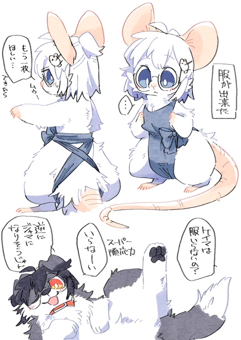 ネズミのユウキちゃんの服が出来た
ケイマさんはケモノ順応力が高い。ケモノ順応力が高いと野性的になりやすい……など 