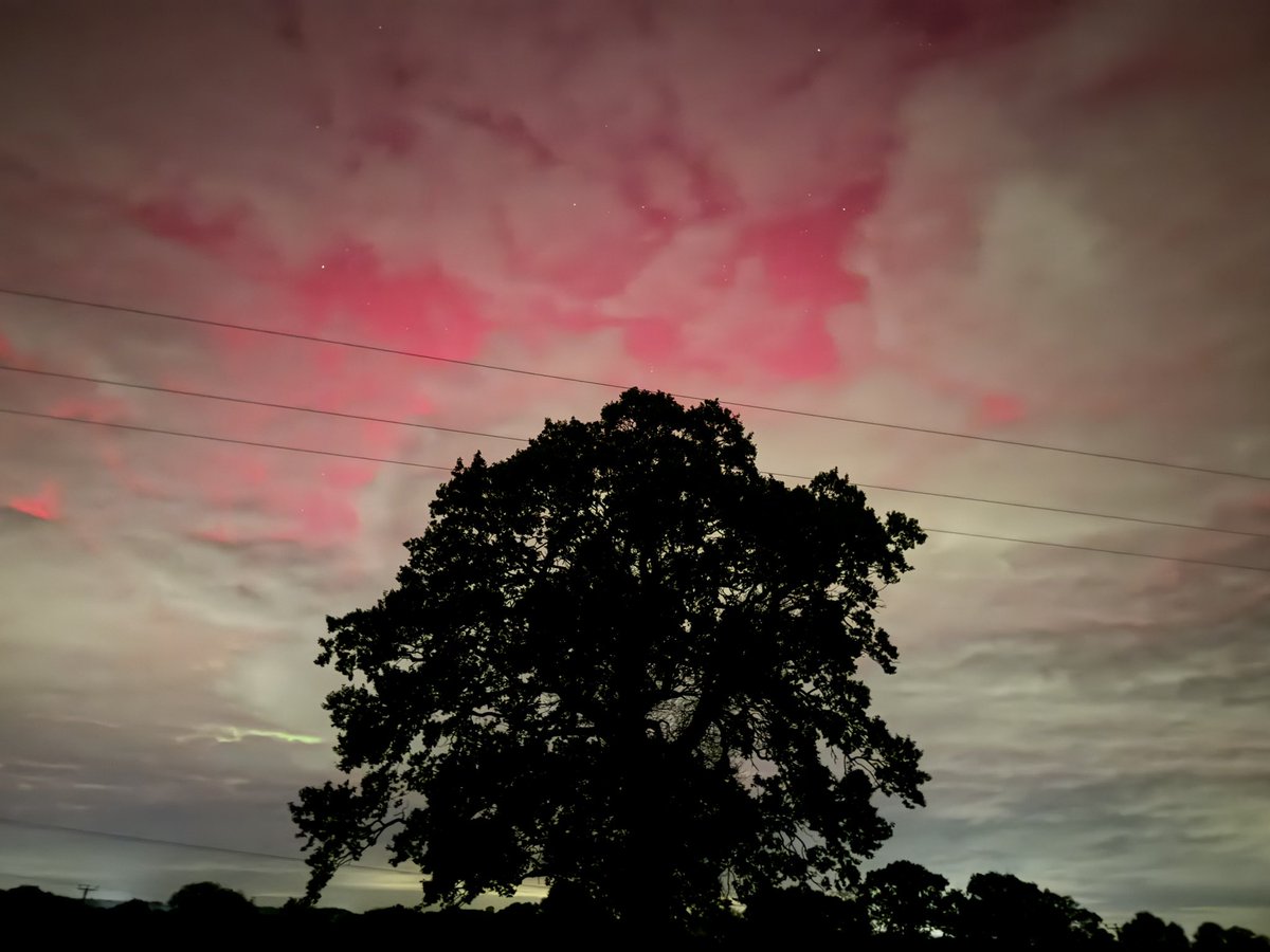 Nick Tyler tweet media