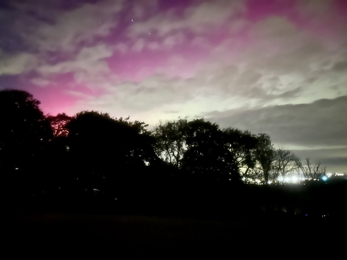 Nick Tyler tweet media