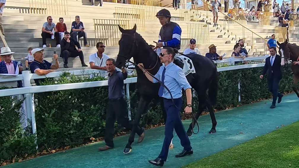 An emphatic win for Topgear in the Group 2 Thoroughbred Industry Employee Awards Challenge Stakes.

The Wootton Bassett five-year-old was bred by Snig Elevage and sold to Chauvigny Global Equine for €200,000 at Arqana's August Yearling Sale in 2020.