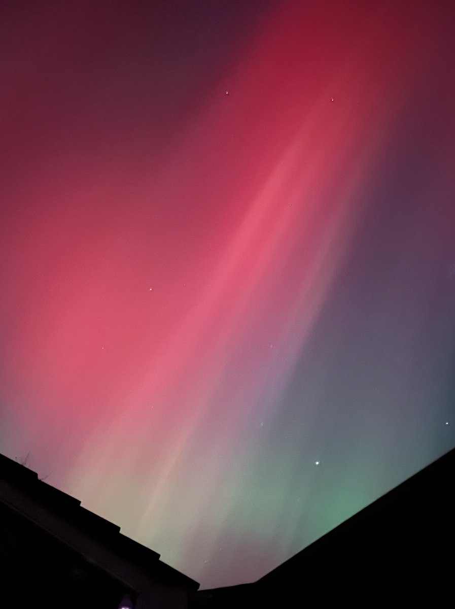 Molly The Foxy 🇮🇪 (@louthdave) on Twitter photo 